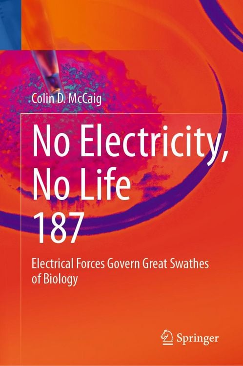 Produktbild: No Electricity, No Life