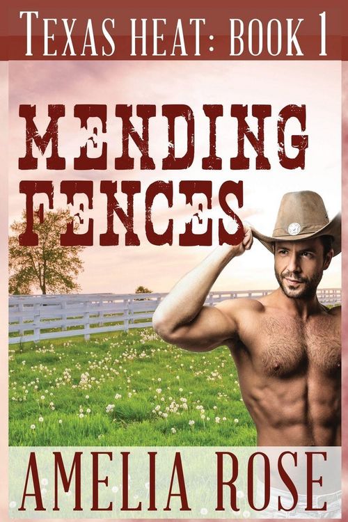 Produktbild: Mending Fences