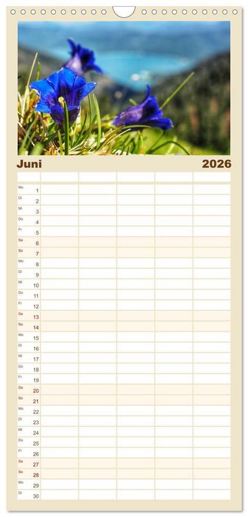 Produktbild: Familienplaner 2026 - Alpen Blick mit 5 Spalten (Wandkalender, 21 x 45 cm) CALVENDO