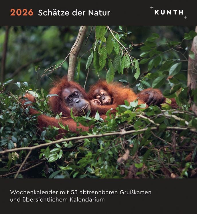 Produktbild: Sch&auml;tze der Natur - KUNTH Postkartenkalender 2026