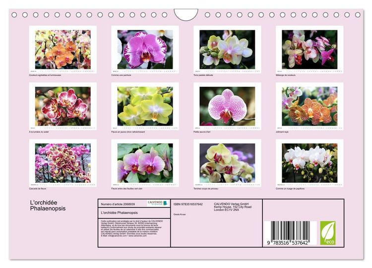 Produktbild: L'orchid&eacute;e Phalaenopsis (Calendrier mural 2026 DIN A4 vertical), CALVENDO calendrier mensuel