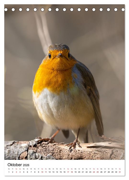 Produktbild: Heimische V&ouml;gel in Ihren G&auml;rten (Tischkalender 2026 DIN A5 hoch), CALVENDO Monatskalender