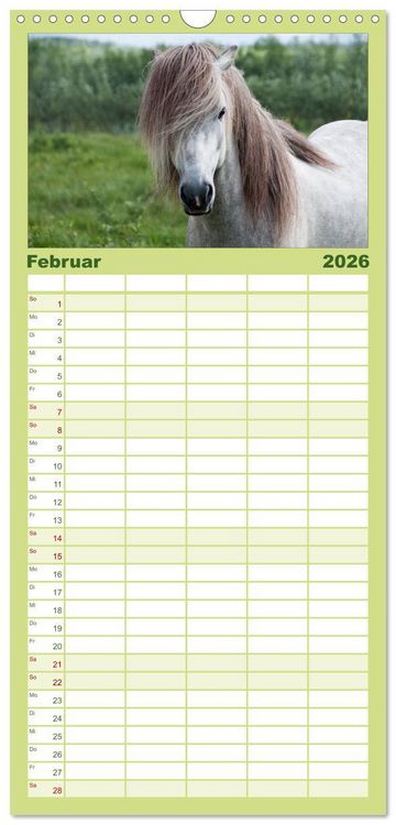 Produktbild: Familienplaner 2026 - Charakterk&ouml;pfe Islandpferde mit 5 Spalten (Wandkalender, 21 x 45 cm) CALVENDO