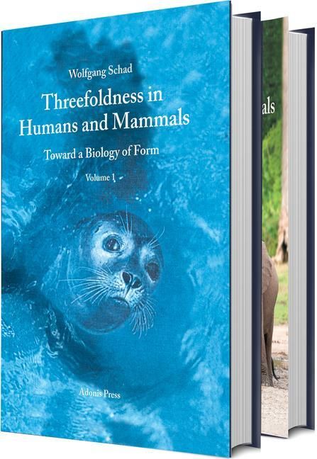 Produktbild: Threefoldness in Humans and Mammals