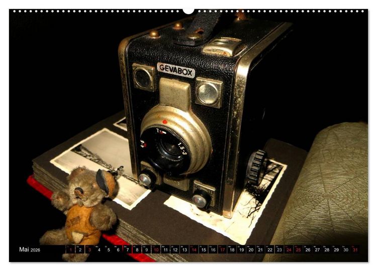 Produktbild: Historische Fotoapparate (hochwertiger Premium Wandkalender 2026 DIN A2 quer), Kunstdruck in Hochglanz