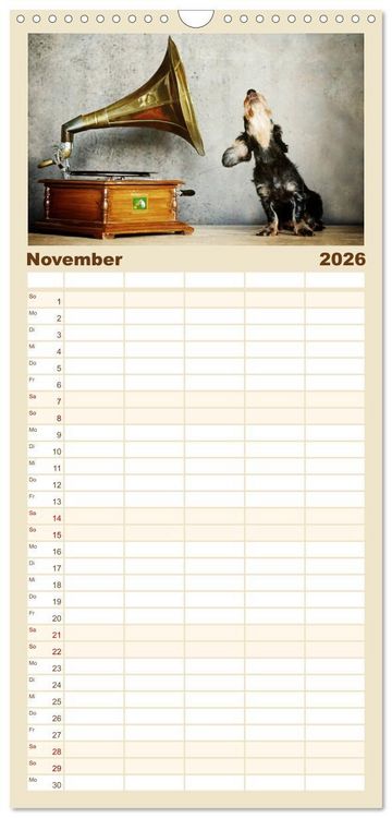 Produktbild: Familienplaner 2026 - Die Dackel daggeln.... mit 5 Spalten (Wandkalender, 21 x 45 cm) CALVENDO