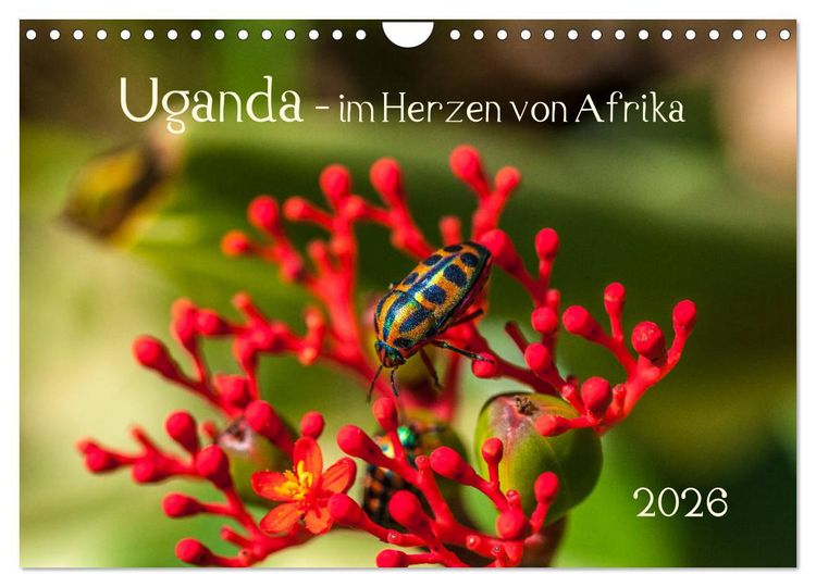 Produktbild: Uganda - im Herzen von Afrika (Wandkalender 2026 DIN A4 quer), CALVENDO Monatskalender