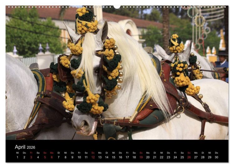 Produktbild: Caballos Spanische Pferde 2026 (Wandkalender 2026 DIN A2 quer), CALVENDO Monatskalender