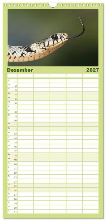 Produktbild: Familienplaner 2027 - Schlangen mit 5 Spalten (Wandkalender, 21 x 45 cm) CALVENDO