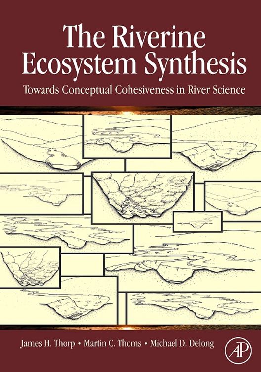 Produktbild: The Riverine Ecosystem Synthesis