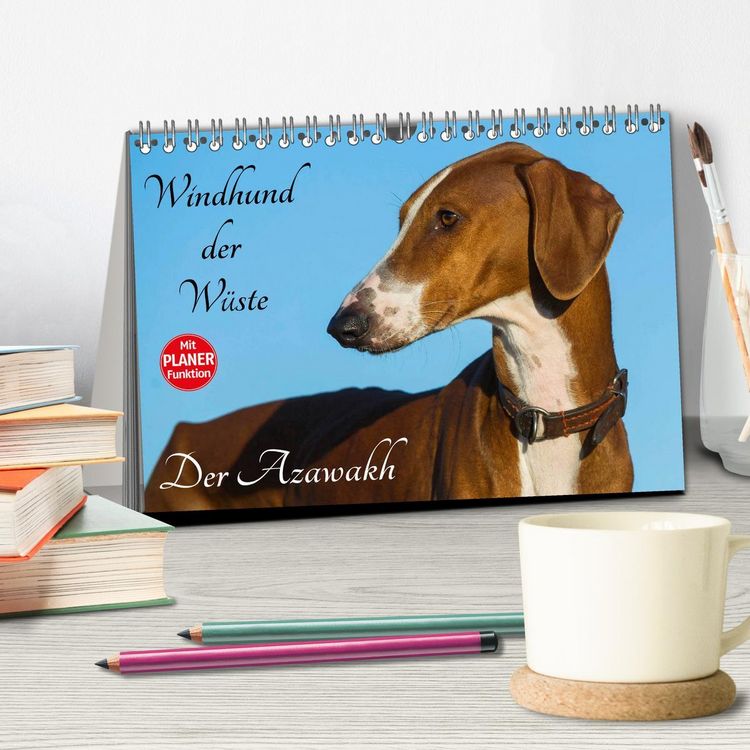 Produktbild: Windhund der W&uuml;ste - Der Azawakh (Tischkalender 2026 DIN A5 quer), CALVENDO Monatskalender