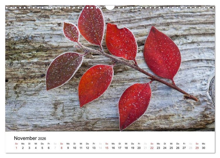 Produktbild: Mein Jahr im Landhausgarten (Wandkalender 2026 DIN A3 quer), CALVENDO Monatskalender