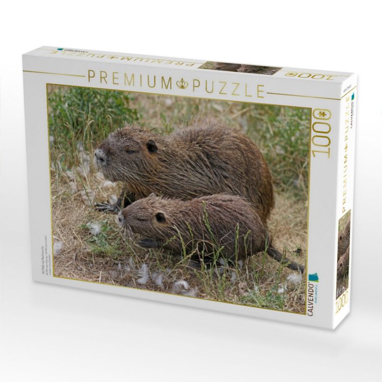Produktbild: CALVENDO Puzzle NUTRIA mit Nachwuchs | 1000 Teile Lege-Gr&ouml;&szlig;e 64x48cm Foto-Puzzle f&uuml;r gl&uuml;ckliche Stunden