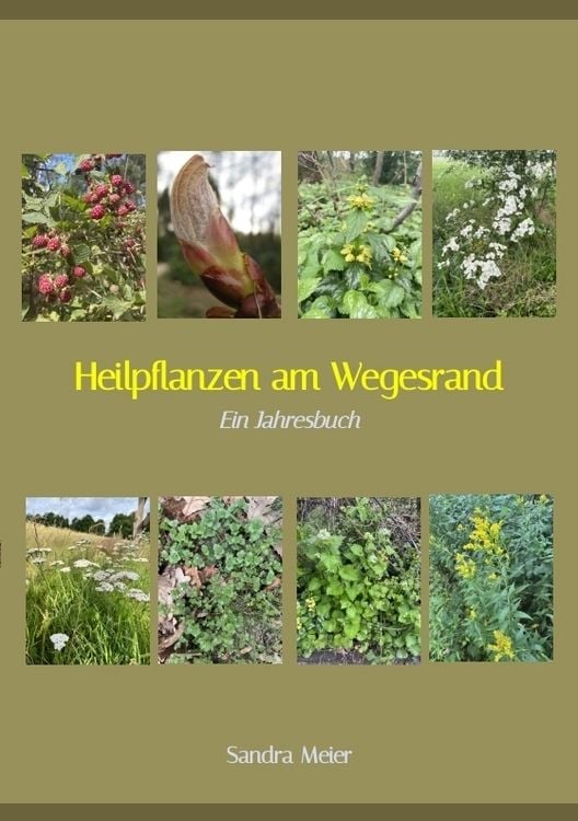 Produktbild: Heilpflanzen am Wegesrand