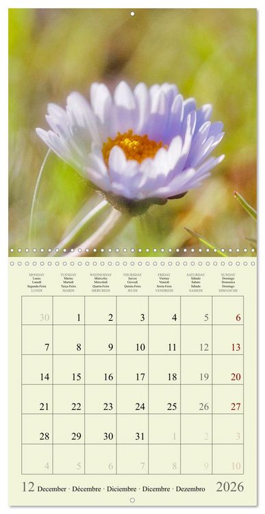 Produktbild: Fleurs du pays des r&ecirc;ves (Calendrier mural carr&eacute; 2026 30x30 cm) Calendrier double avec une page pour vos prises de notes