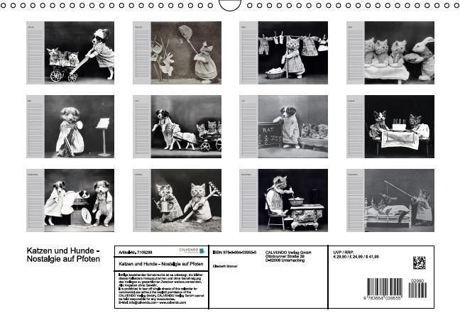 Produktbild: Katzen und Hunde - Nostalgie auf Pfoten (Wandkalender immerw&auml;hrend DIN A3 quer)