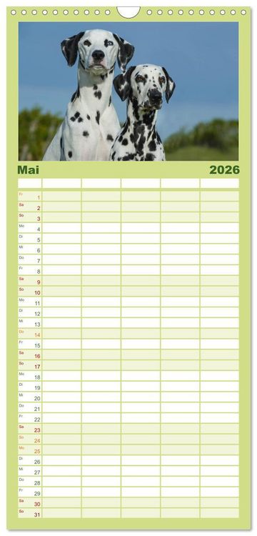 Produktbild: Familienplaner 2026 - Auf den Punkt - Dalmatiner mit 5 Spalten (Wandkalender, 21 x 45 cm) CALVENDO