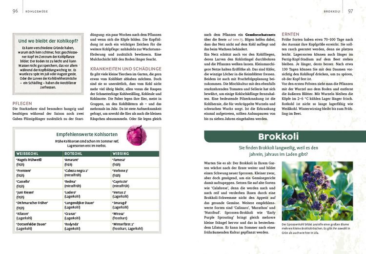Produktbild: Gem&uuml;segarten &ndash; einfach machen!