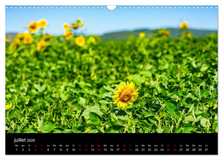 Produktbild: Nature sud de la France (Calendrier mural 2026 DIN A3 vertical), CALVENDO calendrier mensuel