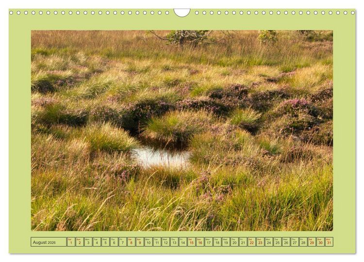 Produktbild: Wonderful Black Forest (Wall Calendar 2026 DIN A3 landscape), CALVENDO 12 Month Wall Calendar