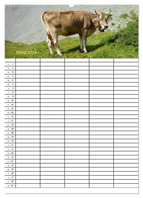 Produktbild: Bauernhoftiere Familienplaner (Wandkalender 2026 DIN A2 hoch), CALVENDO Monatskalender