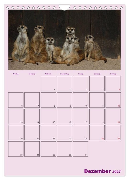 Produktbild: Erdm&auml;nnchen / Terminplaner (Wandkalender 2027 DIN A4 hoch), CALVENDO Monatskalender