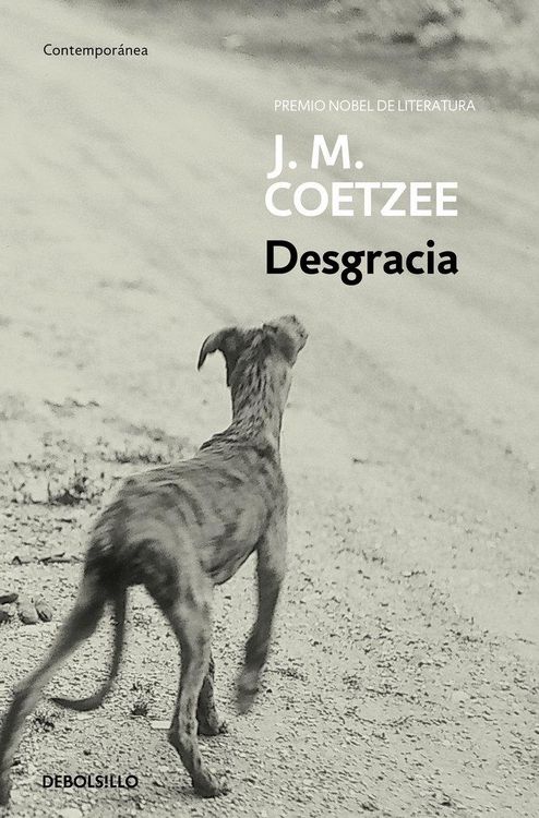 Produktbild: Desgracia / Disgrace