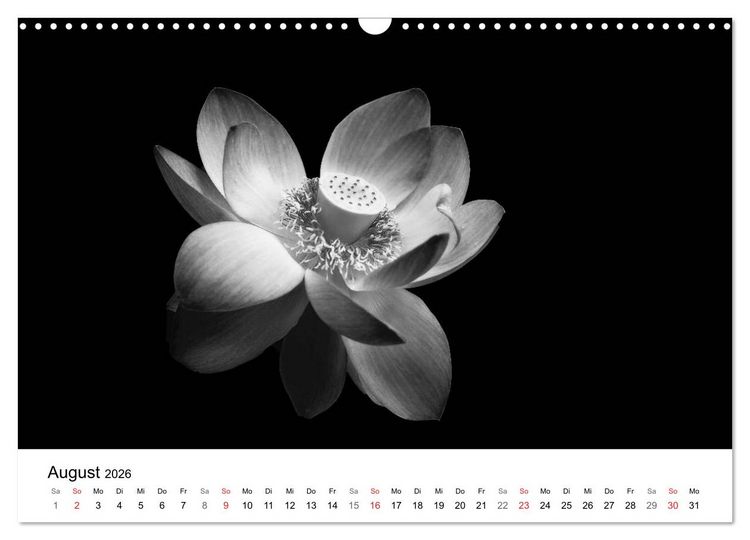 Produktbild: Blumen 2026, Schwarz-Wei&szlig; (Wandkalender 2026 DIN A3 quer), CALVENDO Monatskalender