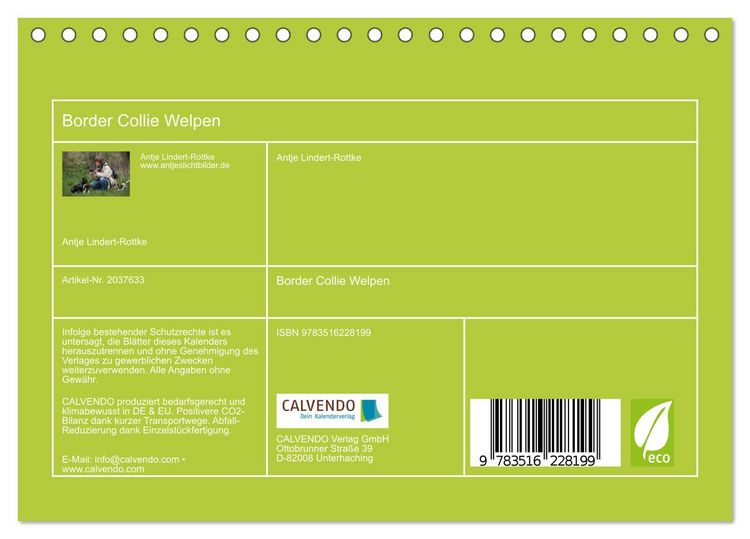 Produktbild: Border Collie Welpen (Tischkalender 2026 DIN A5 quer), CALVENDO Monatskalender