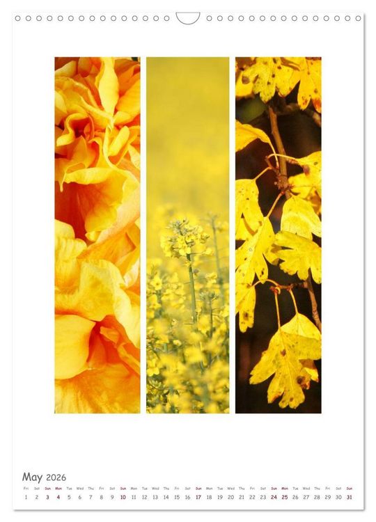 Produktbild: Colours of Nature - Triptycha (Wall Calendar 2026 DIN A3 portrait), CALVENDO 12 Month Wall Calendar