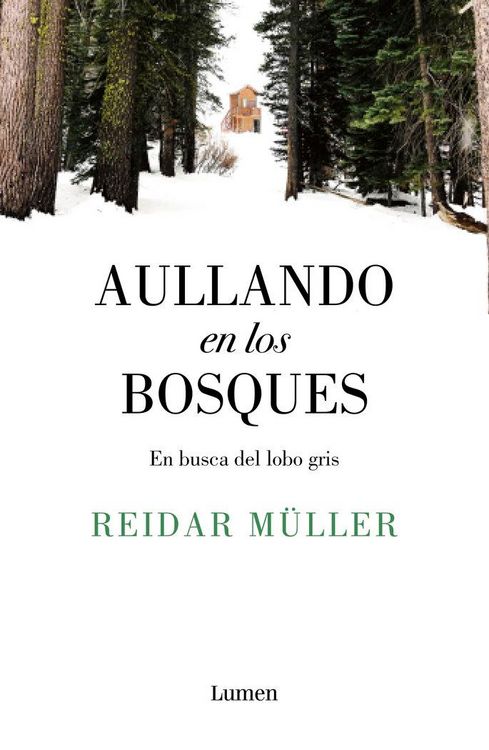 Produktbild: Aullando en los bosques : en busca del lobo gris