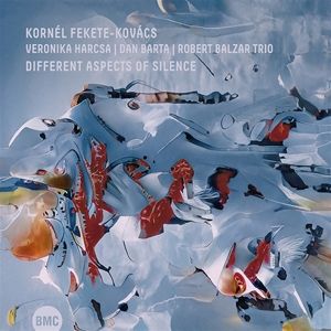 Produktbild: Different Aspects Of Silence