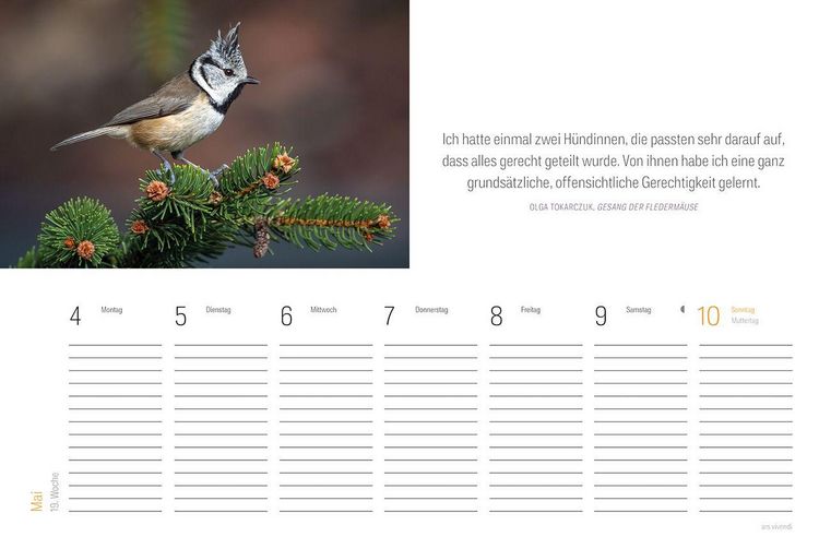 Produktbild: Tischkalender Vogel 2027