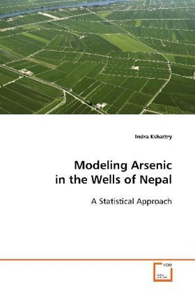 Produktbild: Kshattry, I: Modeling Arsenic in the Wells of Nepal