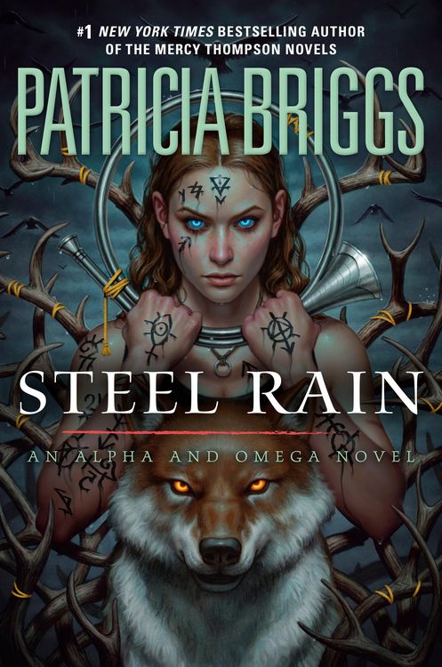 Produktbild: Steel Rain