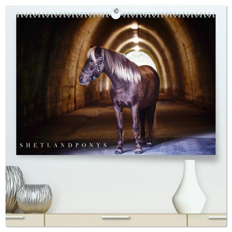 Produktbild: Shetlandpony Kalender (hochwertiger Premium Wandkalender 2026 DIN A2 quer), Kunstdruck in Hochglanz