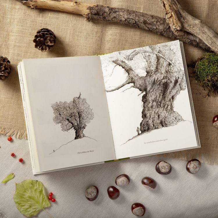 Produktbild: Der letzte Baum