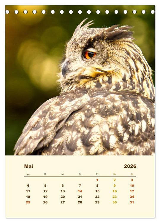 Produktbild: Uhu, die Faszination bernsteinfarbener Augen (Tischkalender 2026 DIN A5 hoch), CALVENDO Monatskalender