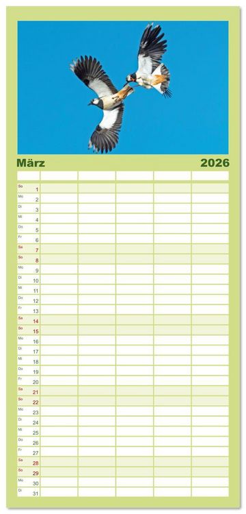 Produktbild: Familienplaner 2026 - V&ouml;gel in unserer Heimat: Kiebitz, Wiedehopf und Turteltaube mit 5 Spalten (Wandkalender, 21 x 45 cm) CALVENDO