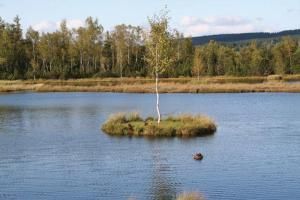 Produktbild: Kultur-Reisef&uuml;hrer B&ouml;hmerwald-Sumava (CR)