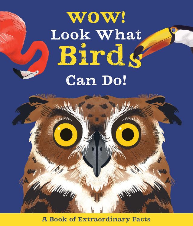 Produktbild: Wow! Look What Birds Can Do