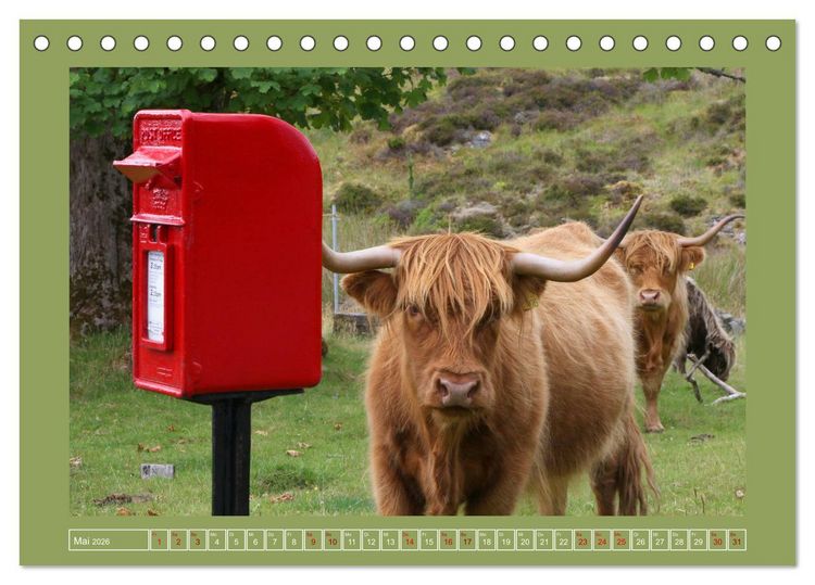 Produktbild: Sie haben Post - Briefk&auml;sten in Schottland (Tischkalender 2026 DIN A5 quer), CALVENDO Monatskalender