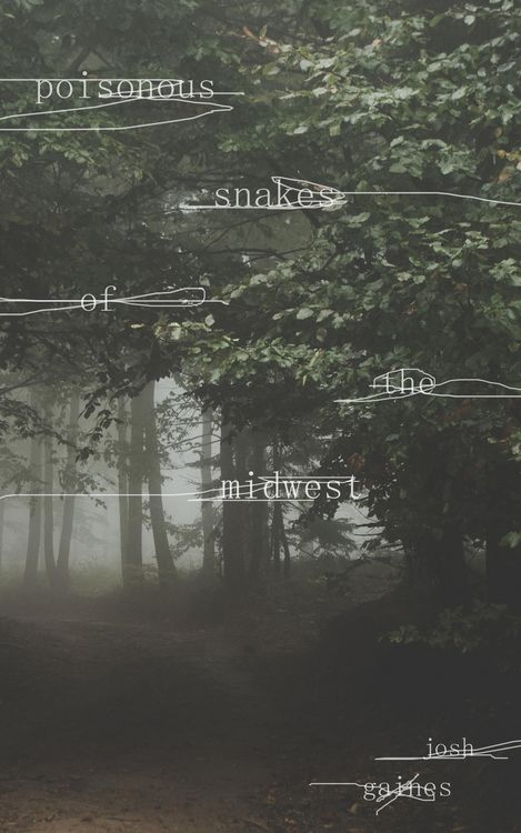 Produktbild: Poisonous Snakes of the Midwest