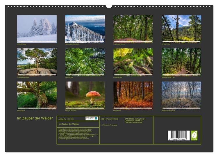 Produktbild: Im Zauber der W&auml;lder (hochwertiger Premium Wandkalender 2026 DIN A2 quer), Kunstdruck in Hochglanz
