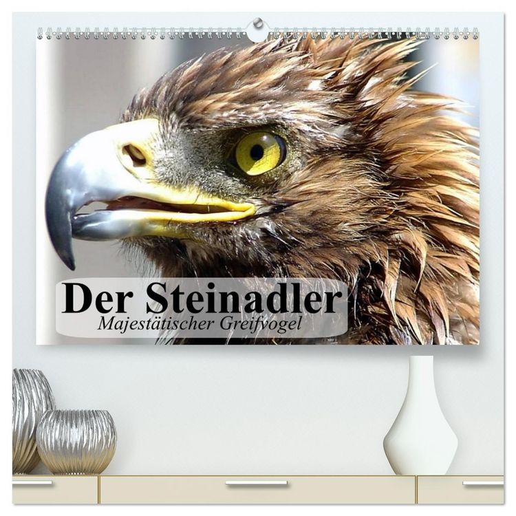 Produktbild: Der Steinadler. Majest&auml;tischer Greifvogel (hochwertiger Premium Wandkalender 2026 DIN A2 quer), Kunstdruck in Hochglanz