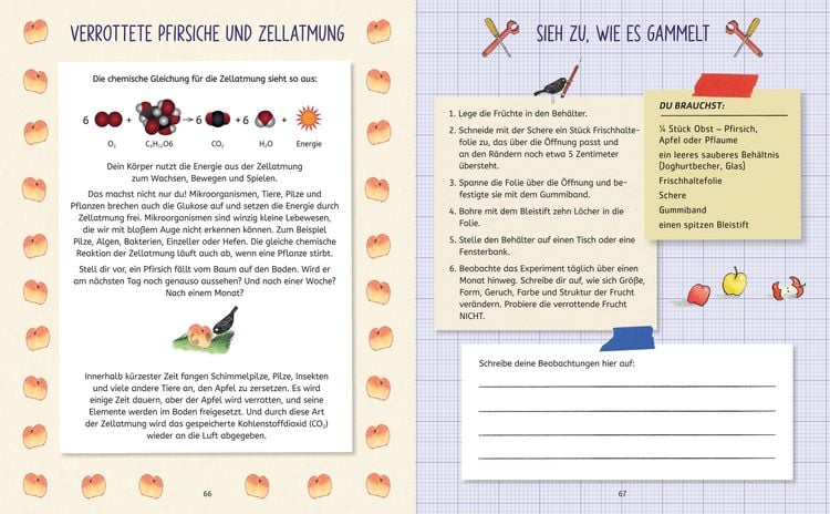 Produktbild: Die Forscherbande: Experimentieren und Entdecken mit Ada Twist