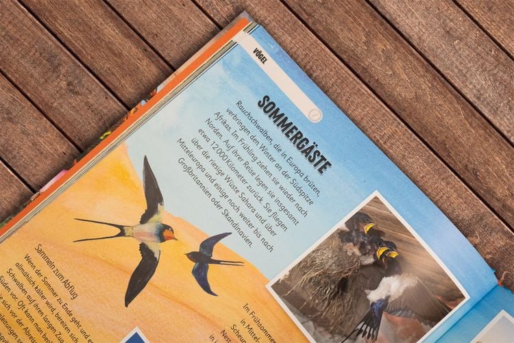 Produktbild: Erstaunliche Wanderungen der Tiere