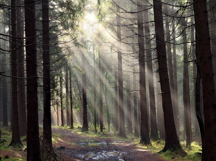 Produktbild: CALVENDO Puzzle Nach dem Regen, Erzgebirge | 2000 Teile Lege-Gr&ouml;&szlig;e 90x67cm Foto-Puzzle f&uuml;r gl&uuml;ckliche Stunden