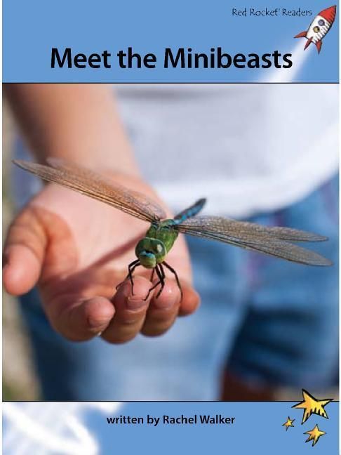 Produktbild: Meet the Minibeasts