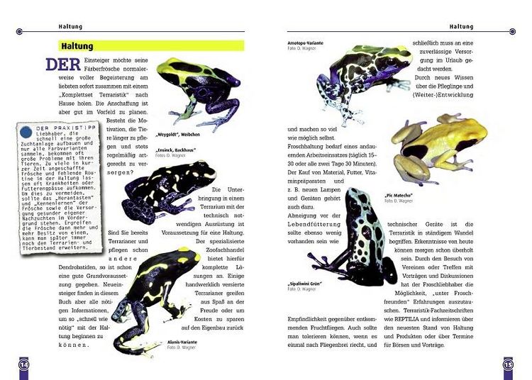 Produktbild: Der F&auml;rberfrosch